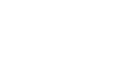 Boro Vision